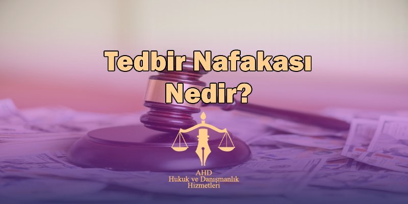 tedbir nafakası