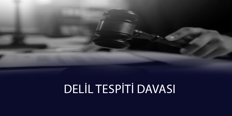 Delil Tespiti Davası