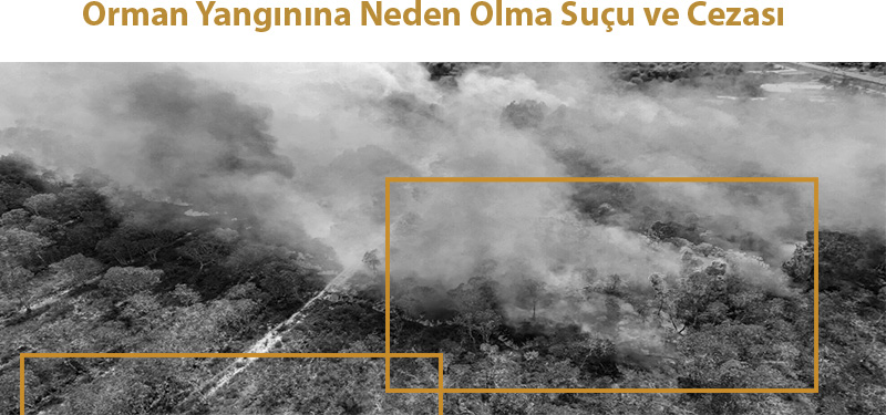 Orman Yangınına Neden Olma Suçu ve Cezası